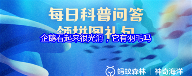 企鹅看起来很光滑，它有羽毛吗