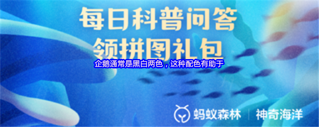 企鹅通常是黑白两色，这种配色有助于