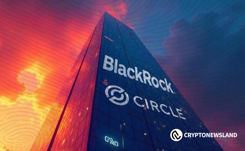 贝莱德寻求入股Circle 10%股权，稳定币公司迈向IPO
