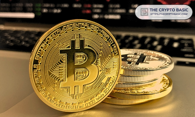 比特币将迎来疯狂行情：Lightspark CEO解析背后原因