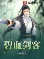 碧血剑客TXT全集下载