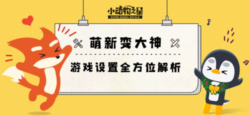 小动物之星