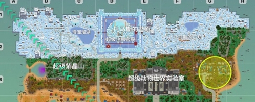 小动物之星