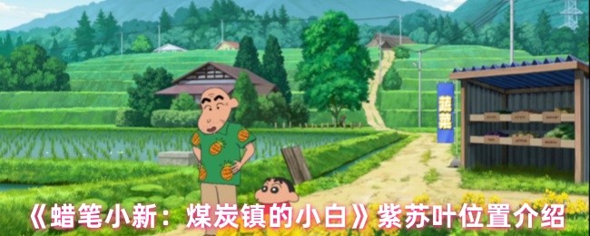 《蜡笔小新：煤炭镇的小白》紫苏叶位置介绍