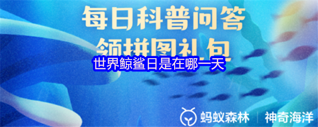 世界鲸鲨日是在哪一天