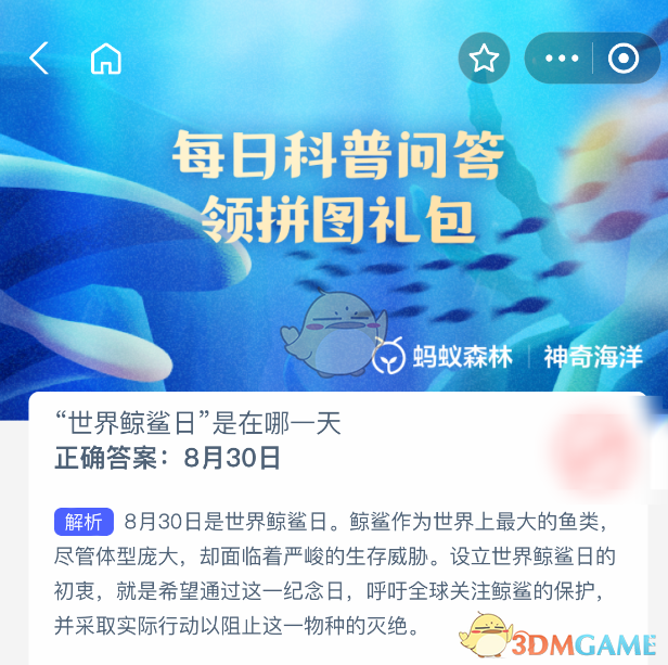 世界鲸鲨日是在哪一天