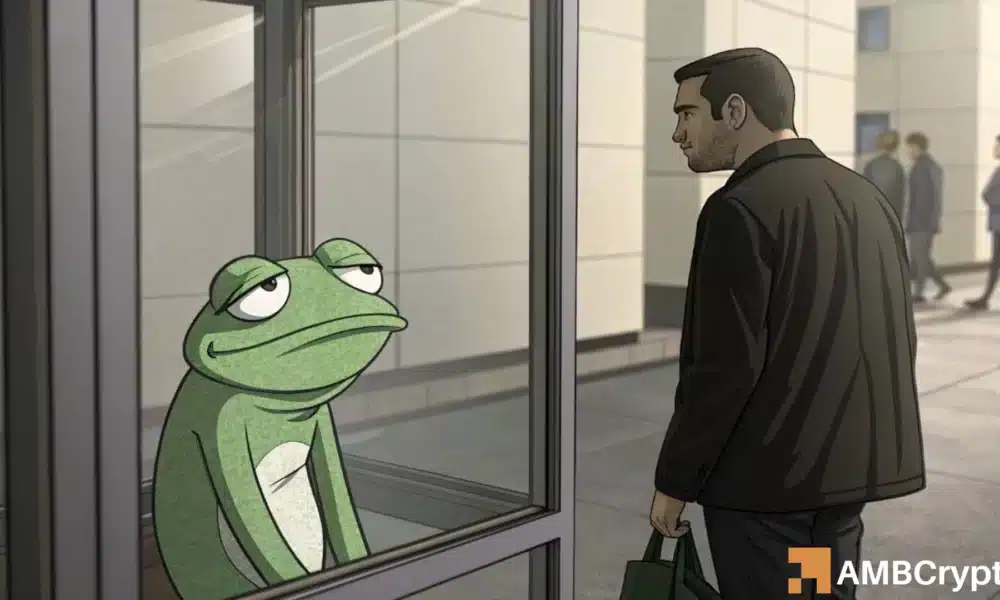 PEPE：分析詹姆斯·温恩1390万美元的押注能否推高价格