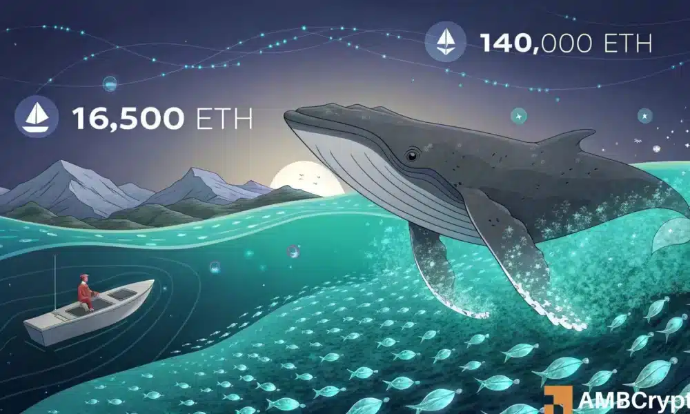 以太坊巨鲸高价回购——是信念还是FOMO（错失恐惧症）？