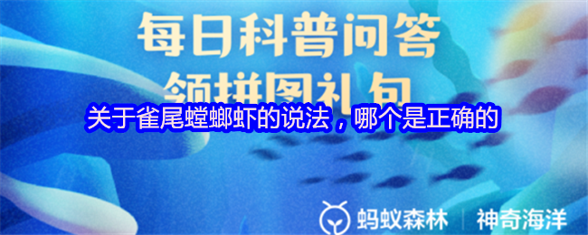 关于雀尾螳螂虾的说法，哪个是正确的