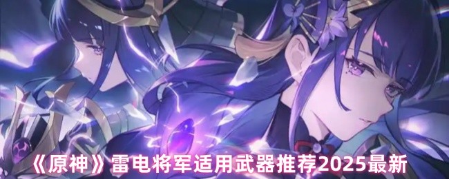 《原神》雷电将军适用武器搭配攻略2025最新