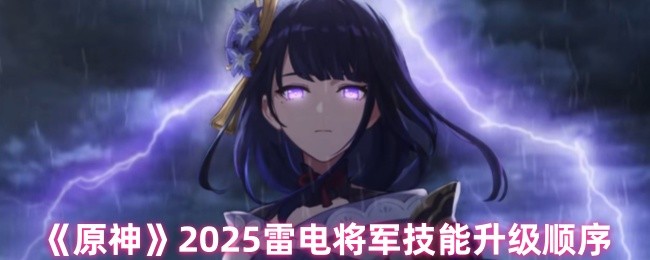 《原神》2025雷电将军技能升级顺序