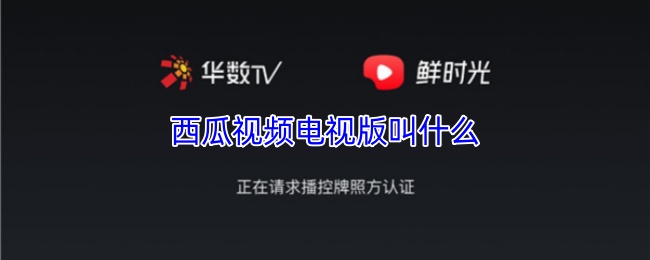 西瓜视频电视版叫什么
