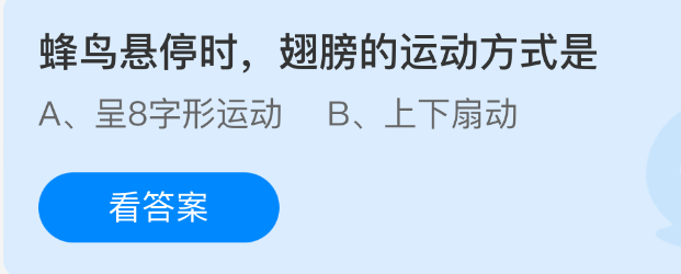 蜂鸟悬停时，翅膀的运动方式是