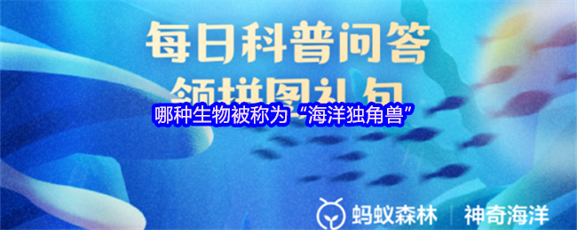 哪种生物被称为“海洋独角兽”