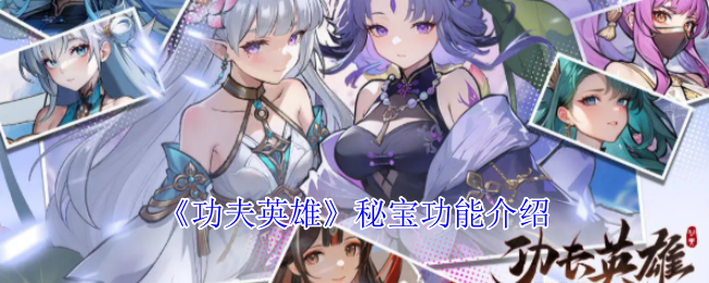 《功夫英雄》秘宝功能介绍