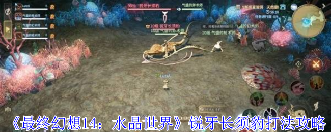 《最终幻想14：水晶世界》锐牙长须豹打法攻略