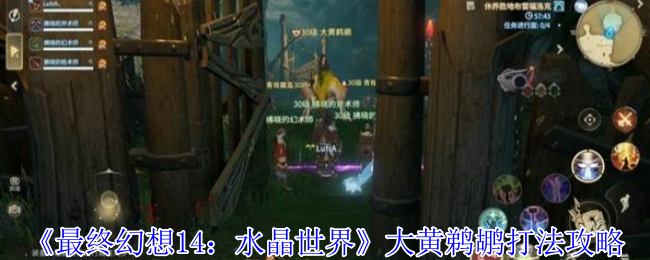 《最终幻想14：水晶世界》大黄鹈鹕打法攻略