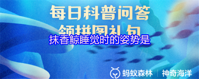 抹香鲸睡觉时的姿势是
