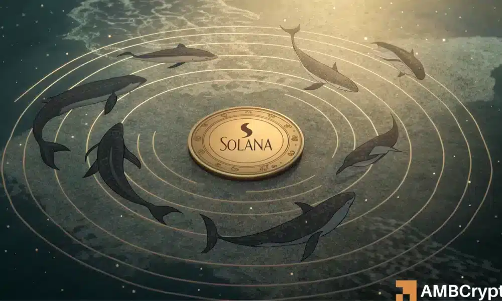 Solana陷入循环？为何SOL的200美元梦想依然停滞不前