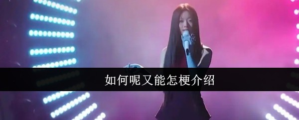 如何呢又能怎梗介绍