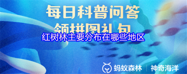 红树林主要分布在哪些地区
