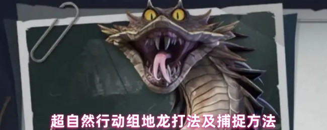 超自然行动组地龙打法及捕捉方法