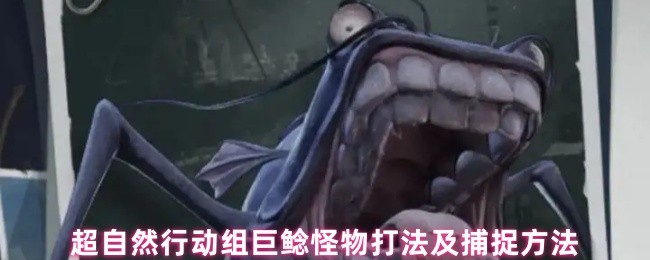 超自然行动组巨鲶怪物打法及捕捉方法
