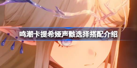 鸣潮卡提希娅声骸该怎么选择