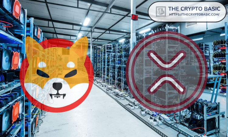 如果柴犬币市值达到瑞波币历史最高市值时的价格