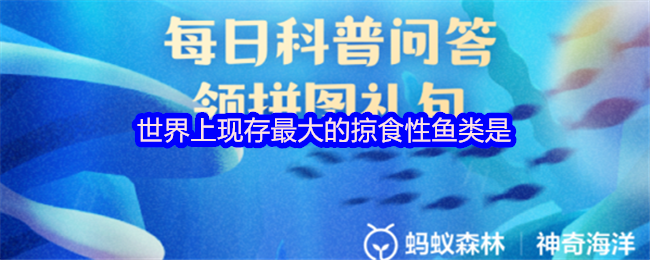 世界上现存最大的掠食性鱼类是