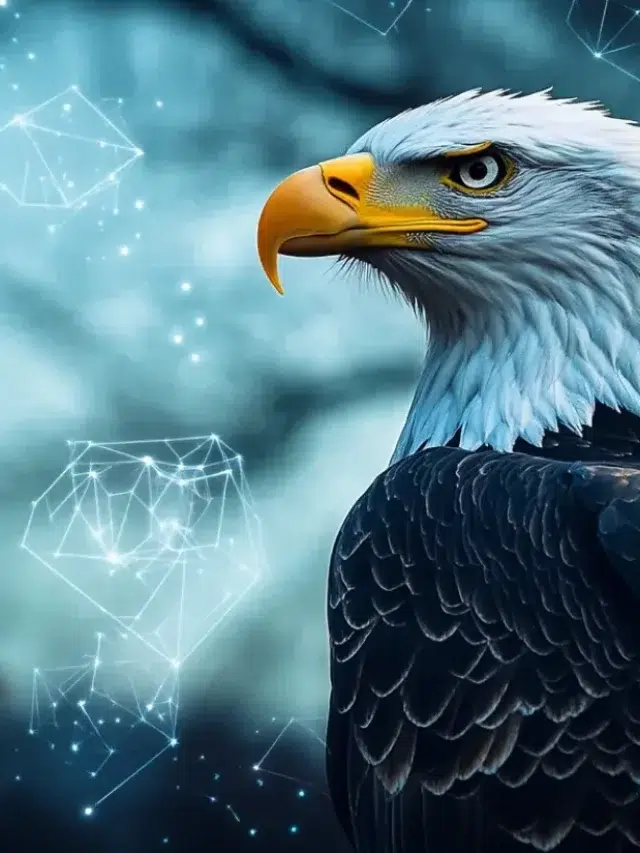 SEC为加密货币ETF制定披露规则，寻求更明确的上市路径