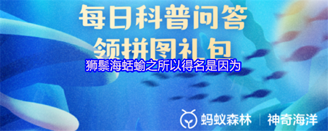 狮鬃海蛞蝓之所以得名是因为