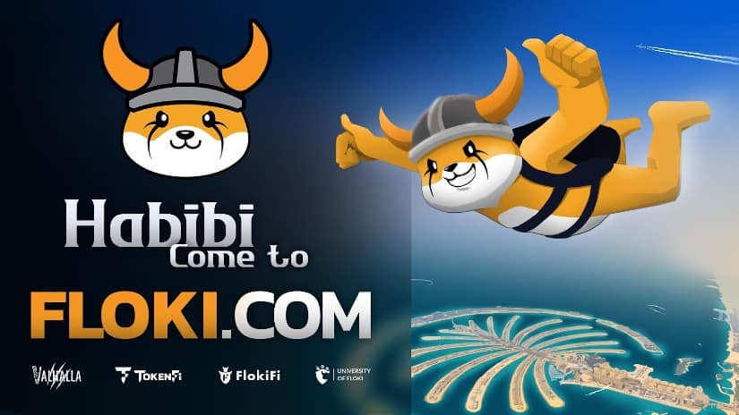 Floki价格预测：FLOKI暴涨9.25%，牛市反转开启