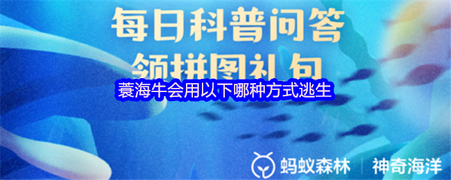 蓑海牛会用以下哪种方式逃生