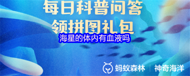 海星的体内有血液吗