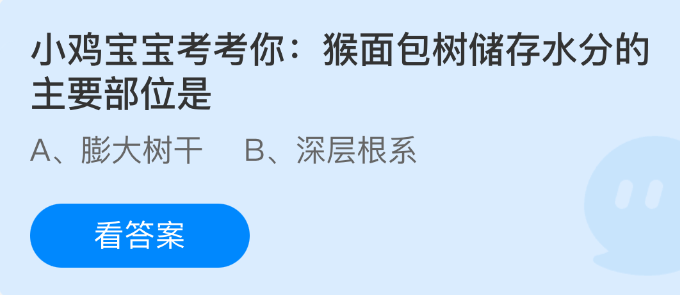 小鸡宝宝考考你：猴面包树储存水分的主要部位是