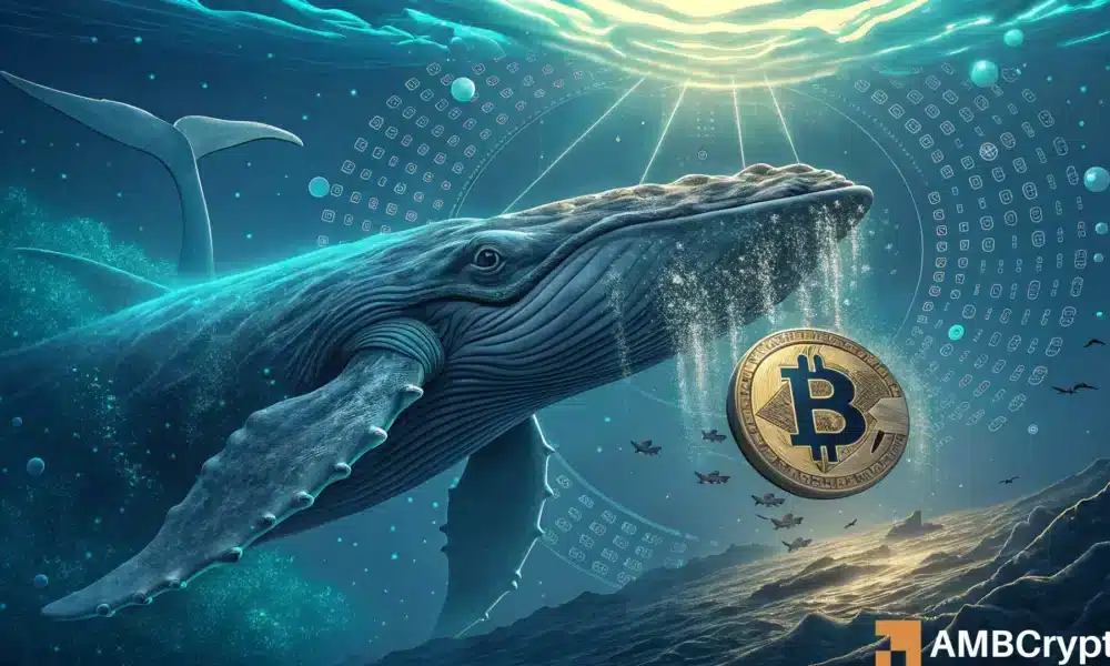 比特币——86.9亿美元BTC转移：为何这一鲸鱼举动引发疑问？