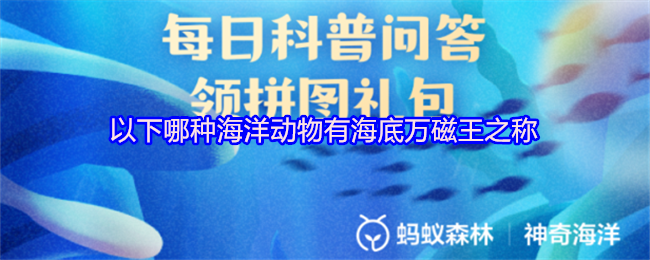 以下哪种海洋动物有海底万磁王之称