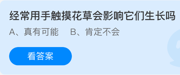 经常用手触摸花草会影响它们生长吗