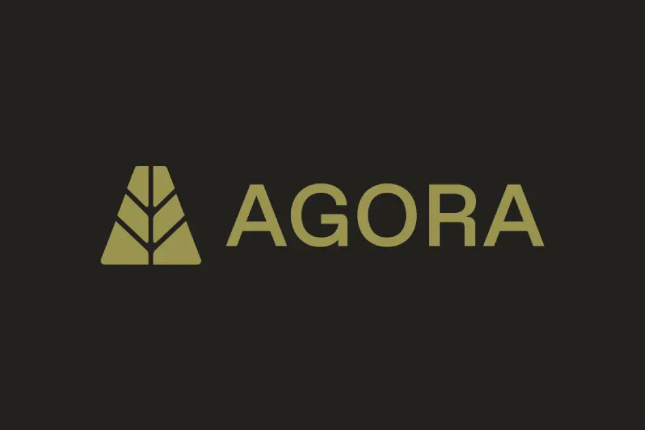 Paradigm重金押注Agora，「白标稳定币」是新故事还是旧包装？