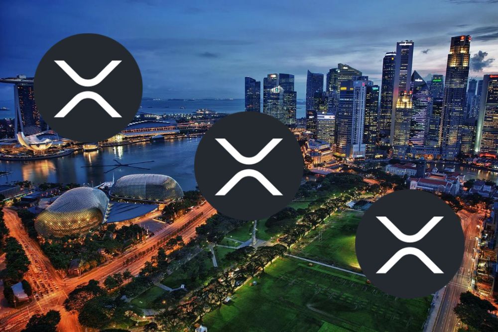 XRP持有者必须避免的这个昂贵错误