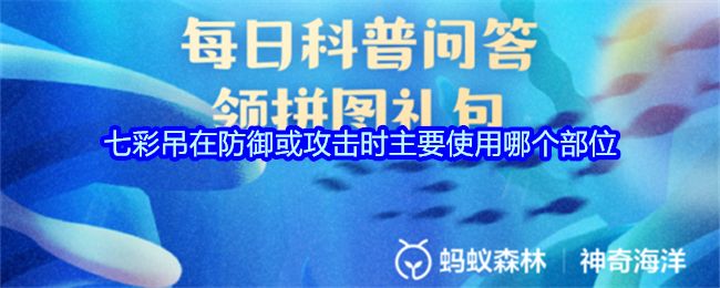 七彩吊在防御或攻击时主要使用哪个部位