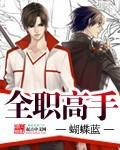 全职高手TXT全集下载