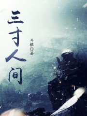 三寸人间TXT全集下载
