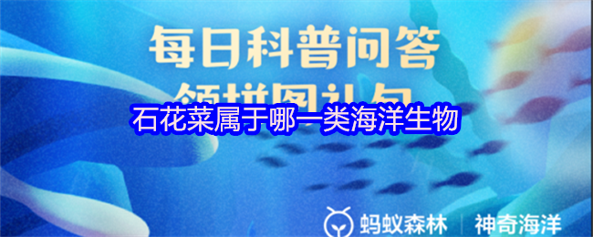 石花菜属于哪一类海洋生物