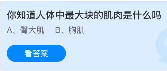 你知道人体中最大块的肌肉是什么吗