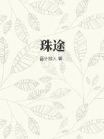 珠途TXT全集下载