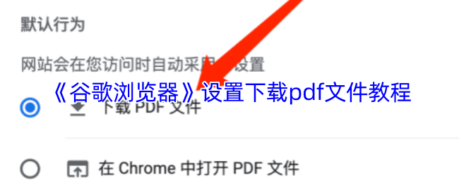 《谷歌浏览器》设置下载pdf文件教程