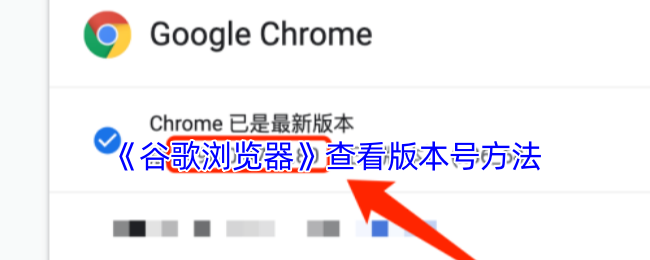 《谷歌浏览器》查看版本号方法