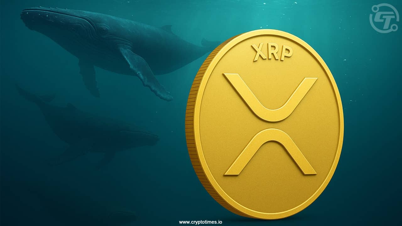 XRP巨鲸增持而价格下跌，接下来将何去何从？